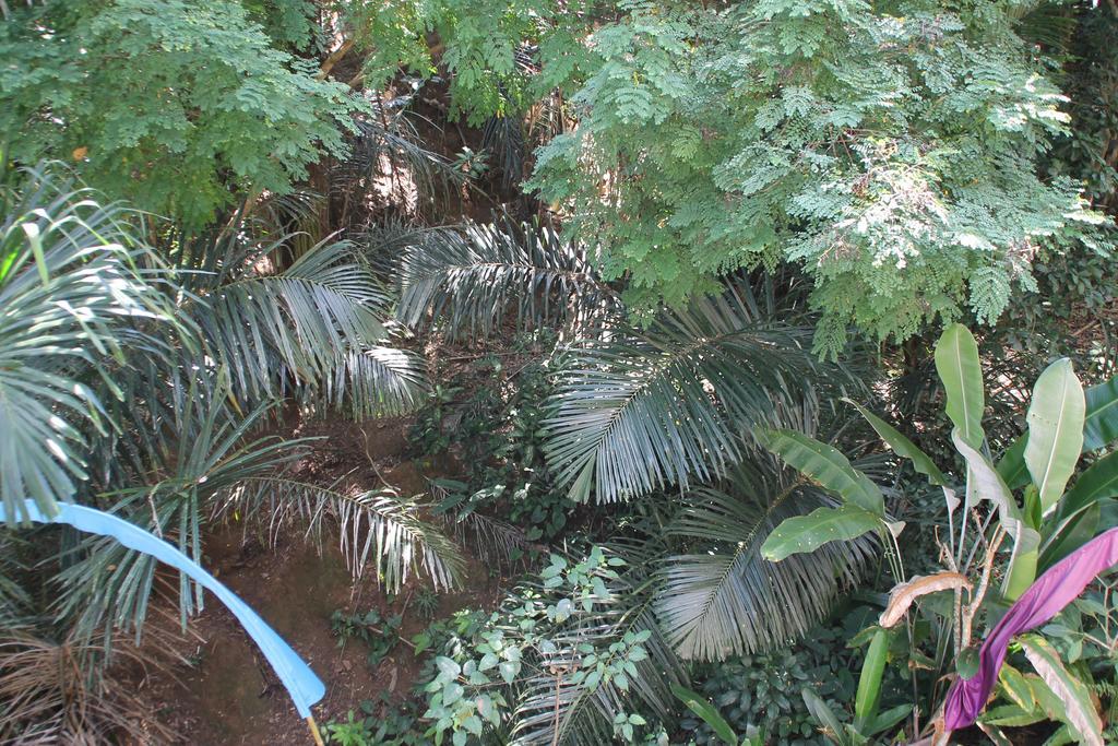 Casa de hóspedes Bembengan Ubud